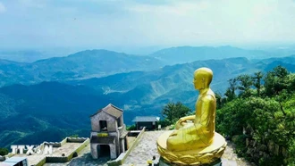 Năm Bính Ngọ, điểm lại một số danh nhân Việt Nam tuổi Ngọ