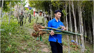 Bản Liền phát động Tết trồng cây Xuân Bính Ngọ