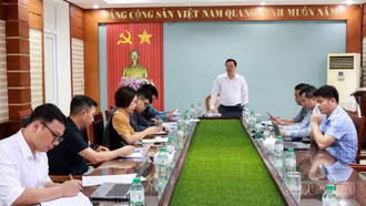 Xử phạt Công ty Đông Á do chậm tiến độ thi công đường vào xã Phìn Ngan (cũ)