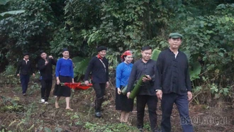 Tưng bừng lễ hội Lồng Tồng – Mừng Đảng, mừng Xuân Bính Ngọ 2026 tại xã Cốc Lầu