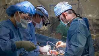 Bỉ lập dấu mốc y học thế giới với ca ghép gan chưa từng có tiền lệ