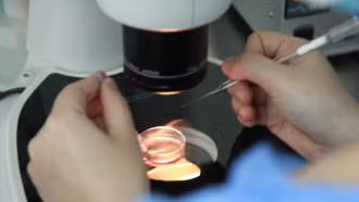 Trào lưu 'săn' con như ý, lạm dụng thụ tinh nhân tạo