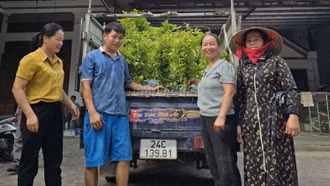 Cấp phát cây giống và phân bón cho hộ dân tham gia dự án trồng rừng gỗ lớn