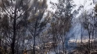 Châu Âu bị thiệt hại do cháy rừng tăng hơn 4 lần trong năm nay