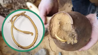 Khám phá khu rừng, 5 tuần đào được 3 kho báu