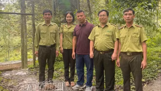 Tiếp nhận 3 cá thể động vật rừng để chăm sóc, cứu hộ