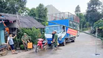 Đồng bộ giải pháp phòng, chống dịch tả lợn châu Phi