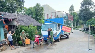Đồng bộ giải pháp phòng, chống dịch tả lợn châu Phi
