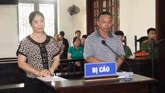 Xét xử công khai vụ dùng hóa chất độc hại để sản xuất giá đỗ