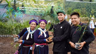 Ca sĩ Jun Phạm tham gia chương trình trồng cây “Gia đình Haha – Vì một Việt Nam hạnh phúc” tại xã Bản Liền