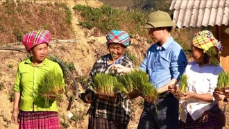Lào Cai: Chủ động sản xuất và cung ứng nguồn giống chất lượng