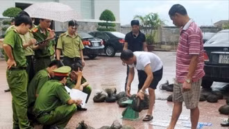 ASEAN siết chặt vòng vây tội phạm động vật hoang dã