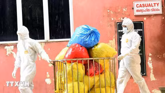 Virus Nipah có nguy cơ trở thành đại dịch như COVID-19 không?