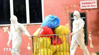 Virus Nipah có nguy cơ trở thành đại dịch như COVID-19 không?