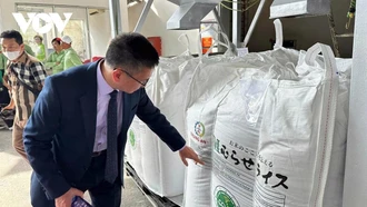 Xuất khẩu gạo ứng phó với những biến động mới của thị trường