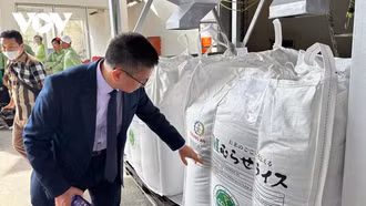 Xuất khẩu gạo ứng phó với những biến động mới của thị trường