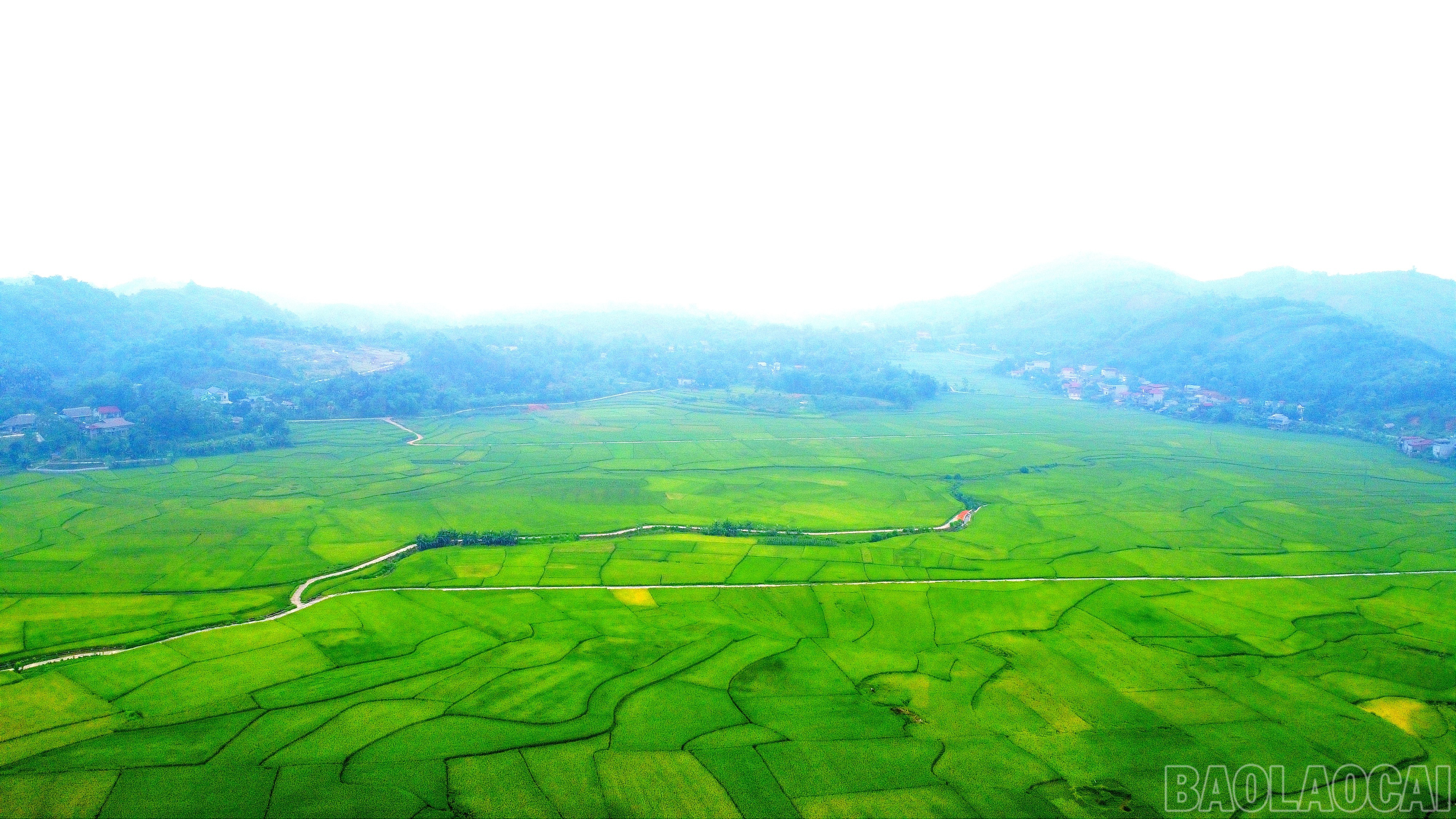 Tất cả tạo nên bức tranh nông thôn Lào Cai tươi đẹp, hứa hẹn những vụ mùa bội thu. baolaocai-br_img-20250515-151403.jpg