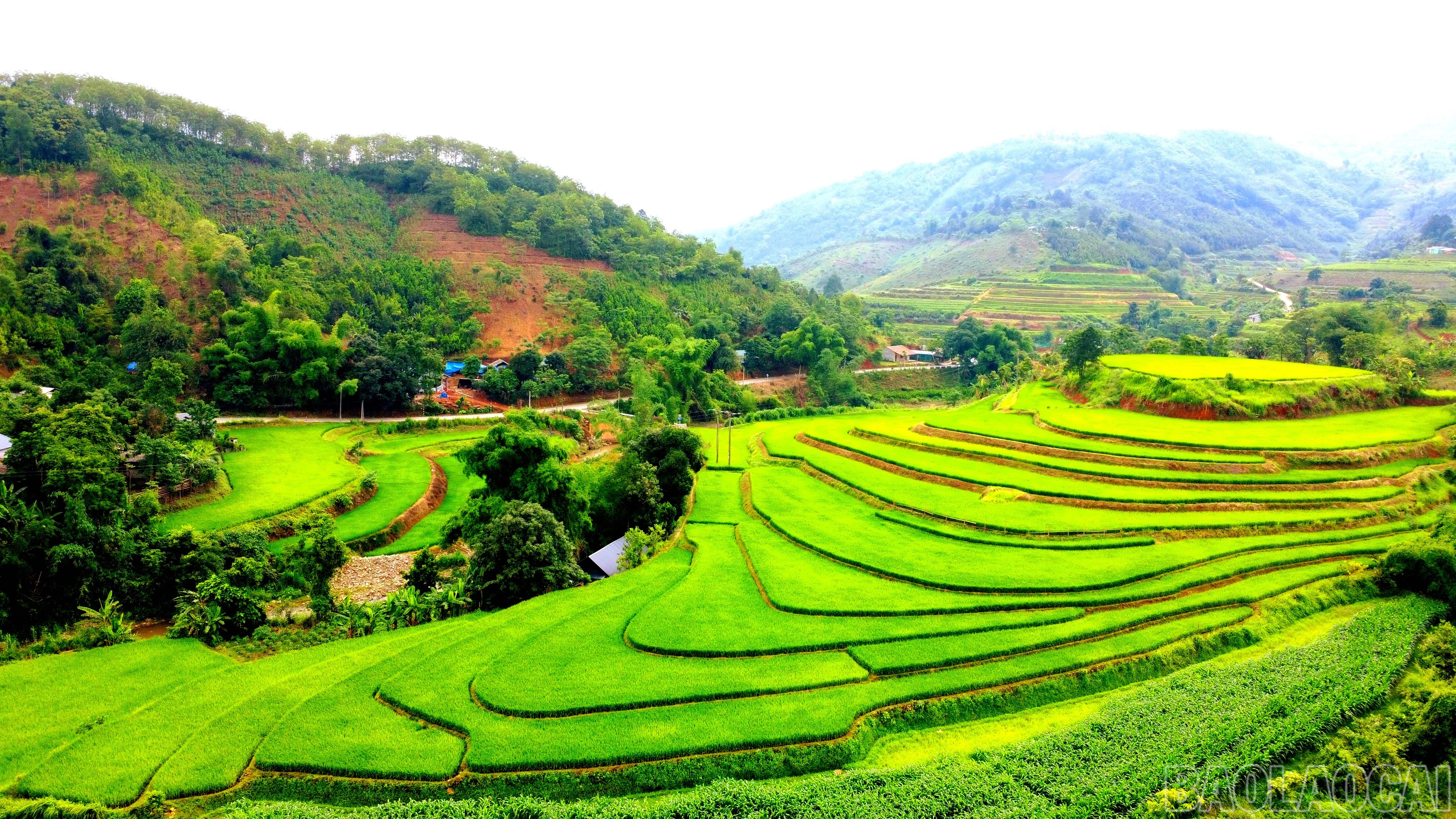 "Họa sĩ nông dân" vẽ nên sự kỳ vĩ của bức tranh thiên nhiên này. baolaocai-br_img-20250515-150318.jpg
