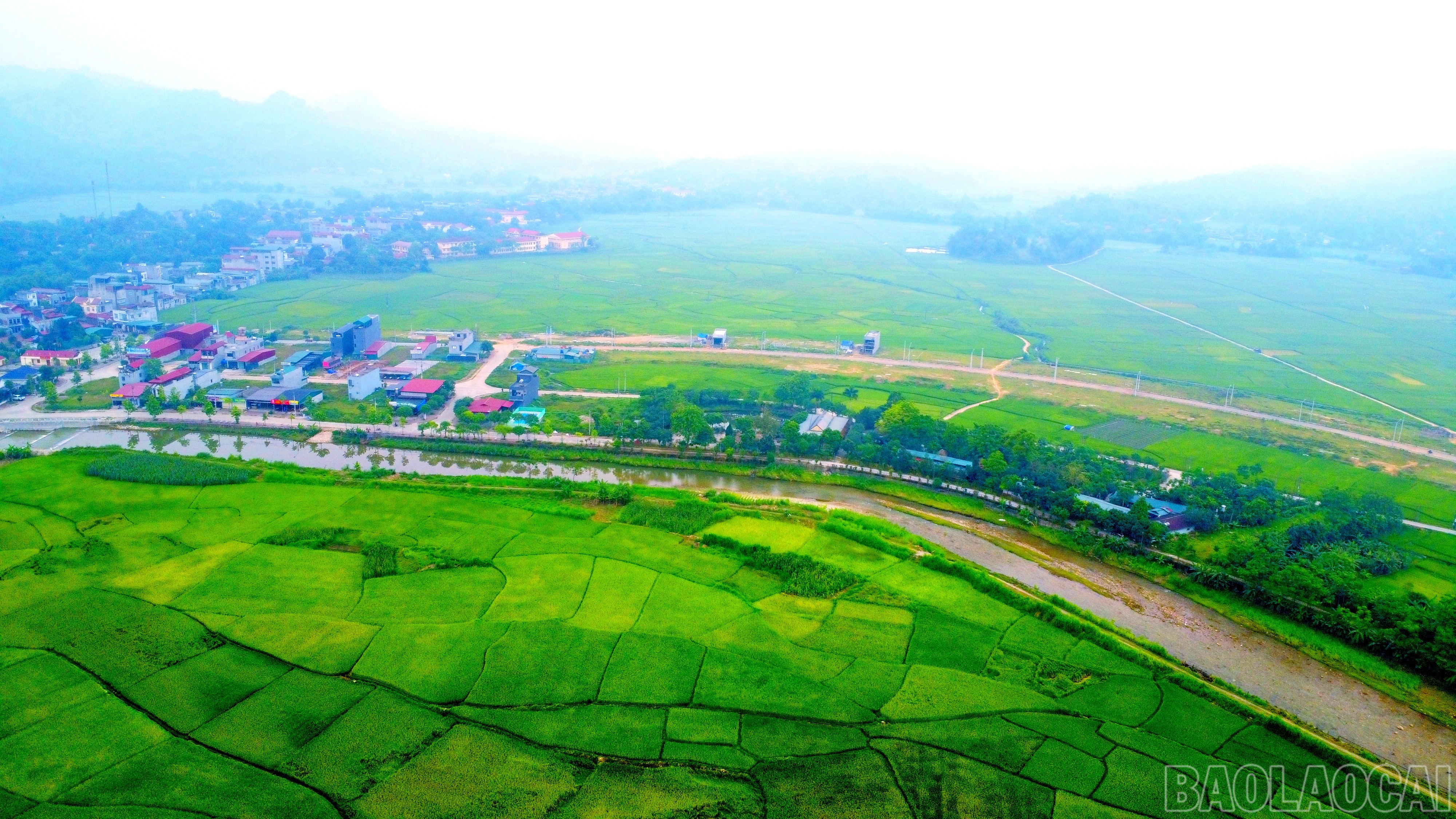 Cánh đồng lúa mênh mông thuộc huyện Văn Bàn. baolaocai-br_img-20250515-151133.jpg