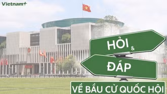 Quy định về phiếu bầu cử đại biểu Quốc hội và Hội đồng nhân dân