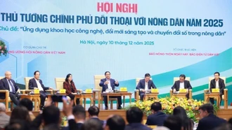 Gieo mầm khát vọng trên cánh đồng Việt