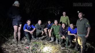 Lào Cai: Đã tìm thấy du khách nước ngoài bị lạc trong khu vực rừng đặc dụng