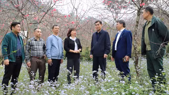 Đoàn công tác Ban Tổ chức Tỉnh ủy kiểm tra mô hình phát triển Đảng, kinh tế tại phường Trung Tâm