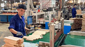 Lào Cai: Doanh nghiệp thành lập mới tăng 15%, vốn đăng ký đạt gần 6.865 tỷ đồng