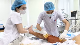 Sốc nhiễm trùng, suy đa tạng do chủ quan khi bị gai đâm