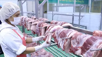 Dịch bệnh phức tạp, ngành nông nghiệp tập trung khôi phục sản xuất chăn nuôi, giữ đà tăng trưởng