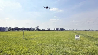 Chế phẩm sinh học, giải pháp để canh tác lúa gạo bền vững