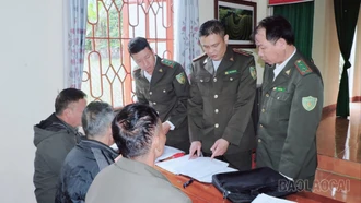 Triển khai thí điểm cấp, quản lý mã số vùng trồng rừng nguyên liệu tại xã Quy Mông