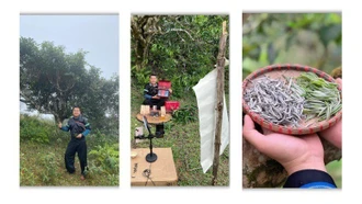 Người kể câu chuyện Phình Hồ bằng trà, mây và công nghệ