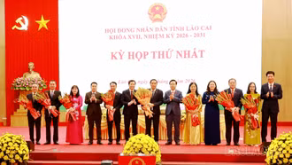 Chủ tịch Quốc hội phê chuẩn kết quả bầu chức vụ Chủ tịch HĐND, Phó Chủ tịch HĐND tỉnh Lào Cai, nhiệm kỳ 2026 - 2031
