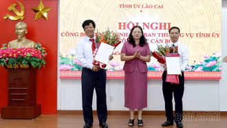 Công bố các quyết định của Ban Thường vụ Tỉnh ủy về công tác cán bộ