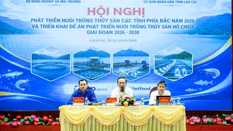 Khai thác tiềm năng nuôi trồng thủy sản hồ chứa các tỉnh phía Bắc