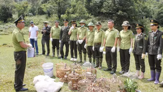 Tái thả 18 cá thể động vật hoang dã về môi trường sống tự nhiên