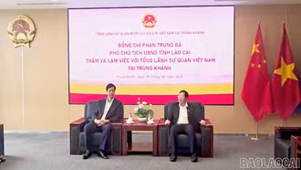 Đoàn đại biểu tỉnh Lào Cai thăm, làm việc với Tổng Lãnh sự quán Việt Nam tại Trùng Khánh