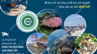 Vườn Quốc gia Côn Đảo được công nhận danh hiệu "Danh lục xanh IUCN