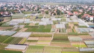 Quy định mới về thành lập Quỹ hợp tác xã địa phương hoạt động theo mô hình hợp tác xã