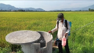 Danh mục thuốc bảo vệ thực vật được phép sử dụng tại Việt Nam