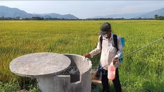 Danh mục thuốc bảo vệ thực vật được phép sử dụng tại Việt Nam