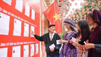 Nhà khoa học Cuba: Cuộc bầu cử thúc đẩy tiến trình phát triển đột phá của Việt Nam