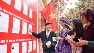 Nhà khoa học Cuba: Cuộc bầu cử thúc đẩy tiến trình phát triển đột phá của Việt Nam