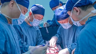 Trung Quốc công bố ca ghép gan lợn trên người đầu tiên sống lâu nhất thế giới