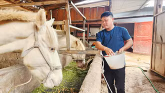 Hết nghèo nhờ bạch mã