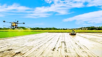 Ngành nông nghiệp và môi trường trong chuyển đổi xanh và phát triển bền vững đất nước