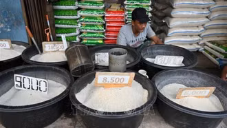 Sản lượng kỷ lục của Indonesia góp phần giảm giá gạo thế giới