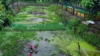 Triển vọng làm giàu ở vùng nông thôn xứ Nghệ