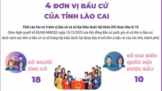 4 đơn vị bầu cử của tỉnh Lào Cai